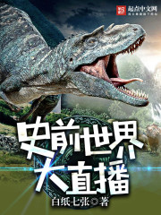 ʷǰ�����ֱ��