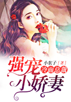 �����ܲã�ǿ��С����