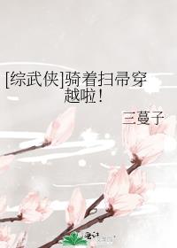 [������]����ɨ�㴩Խ����