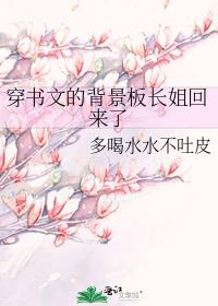 �����ĵı����峤�������