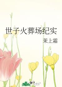 ���ӻ��᳡��ʵ