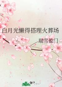 ���¹����ô������᳡