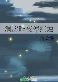 ������ҹͣ����