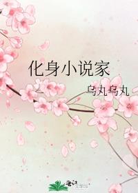 ����С˵��