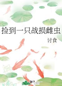 ��һֻս��Ƴ�