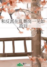 �ͷ����������һ����ʺ�