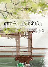 �������¹ⴧ������