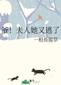 ү��������������