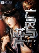 ������оƬ