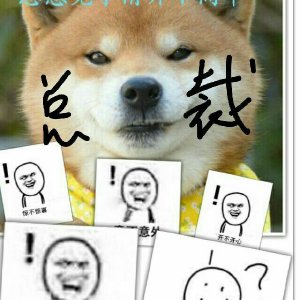 �ܲô��˵��±��ճ�[ϵͳ]