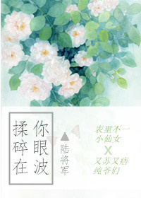 ���������۲�