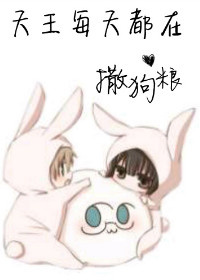 ����ÿ�춼��������